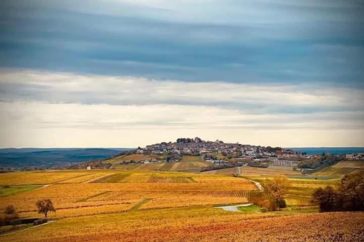 Gite Entre Vignes Et Loire Thauvenay エクステリア 写真